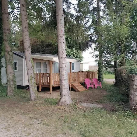 Appartement Mobil-home Xl 4 Personnes Avec Télé